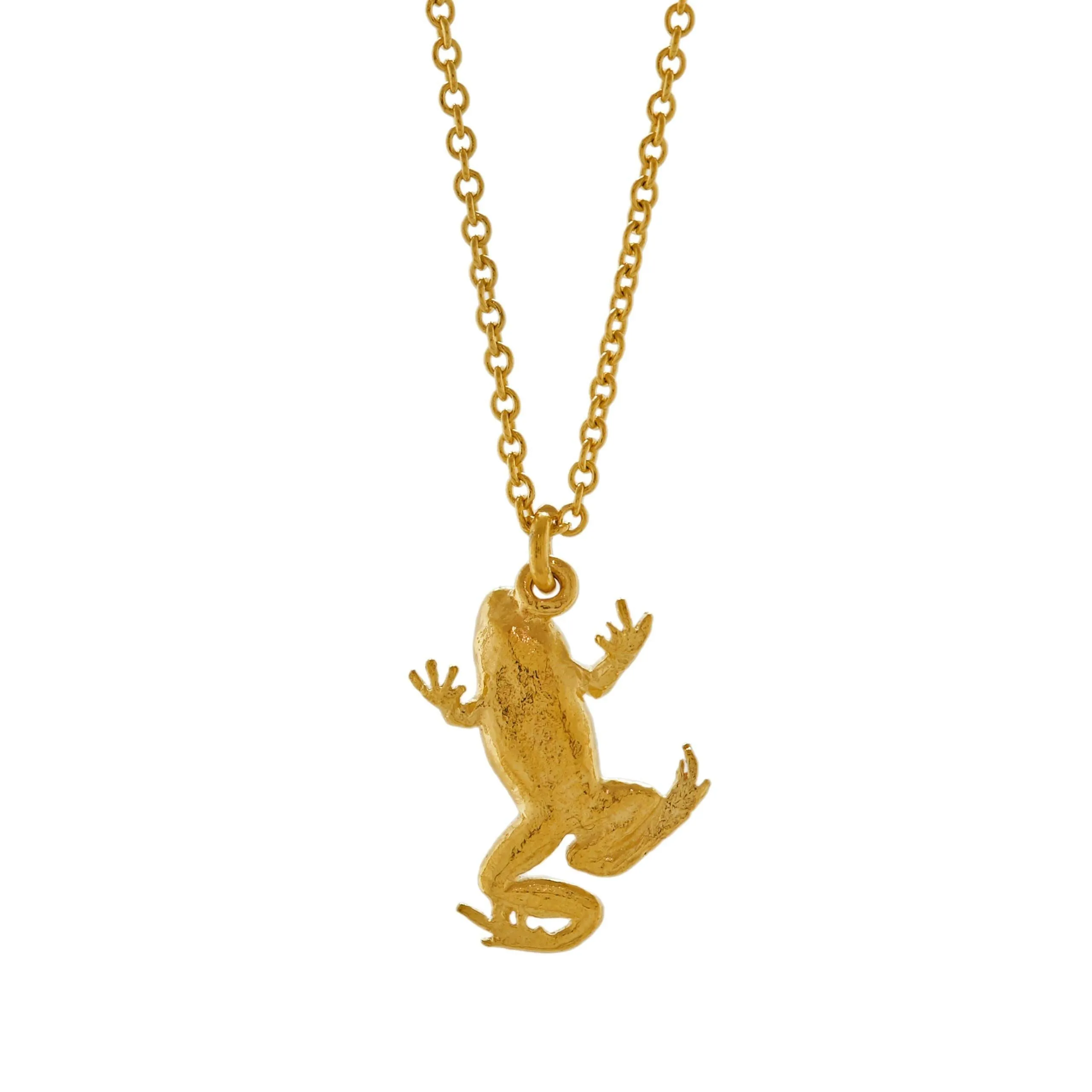 Alex Monroe Frog Necklace